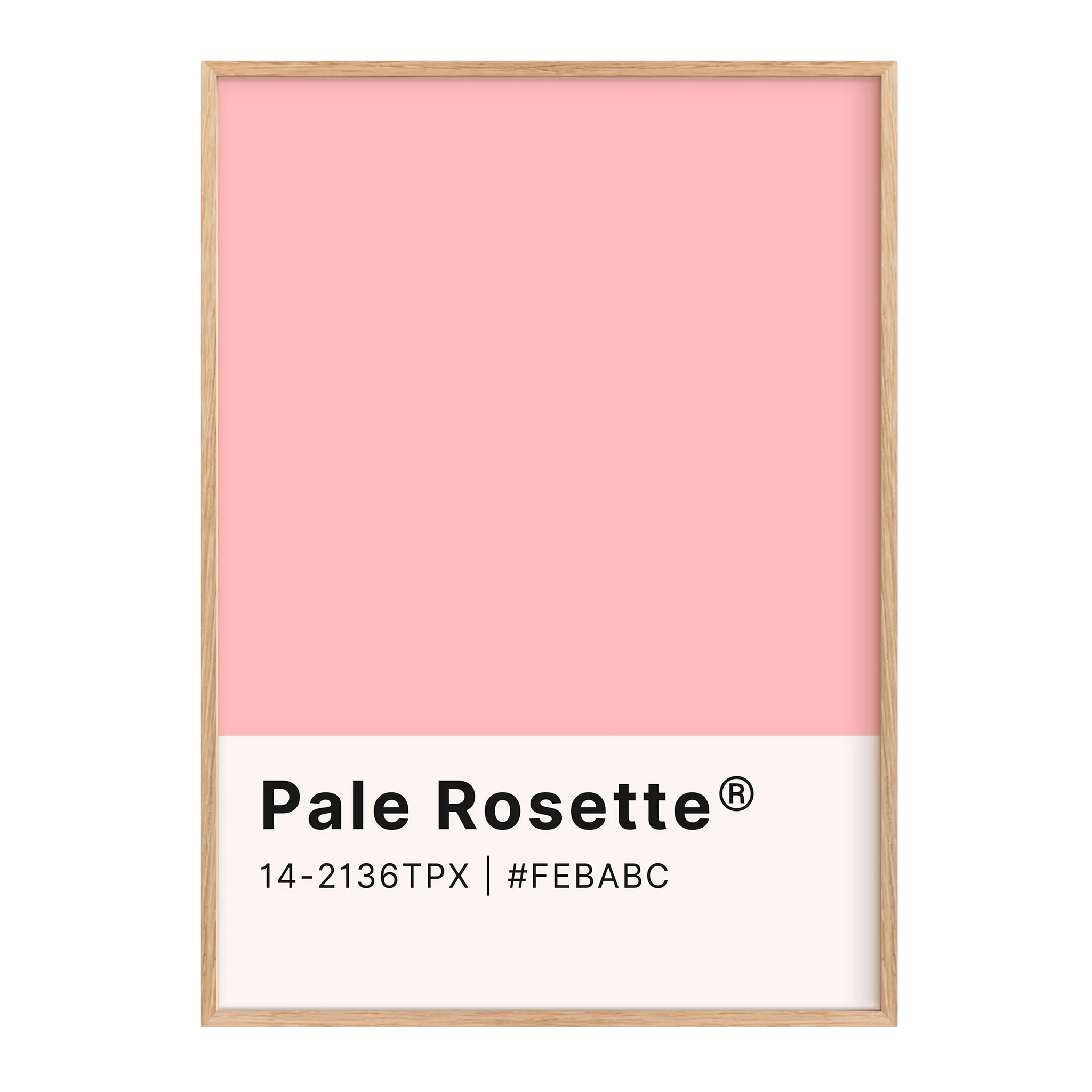 Pale Rosette