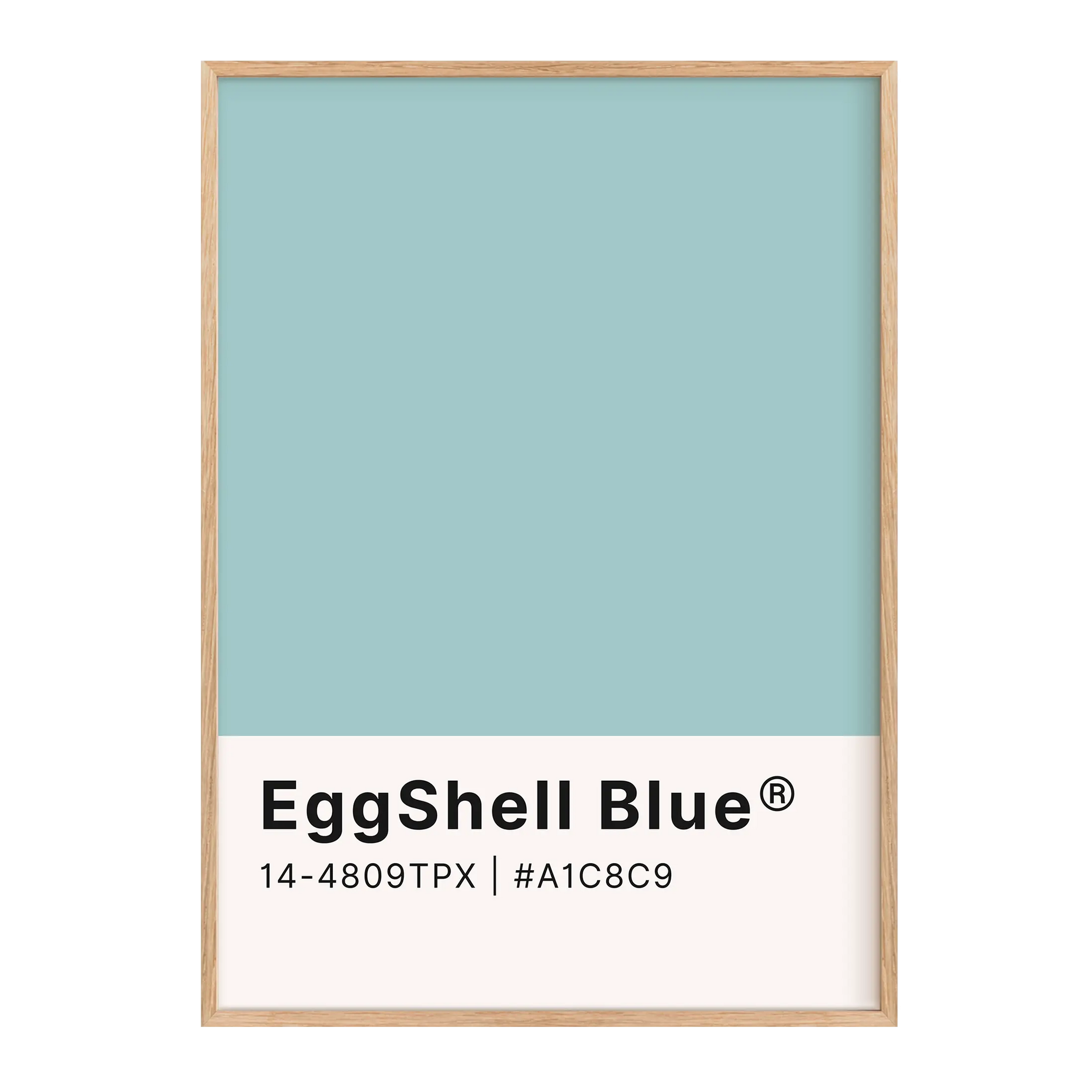 EggShell Blue