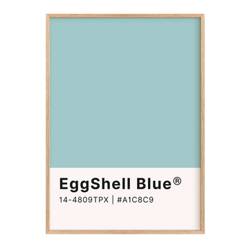 EggShell Blue