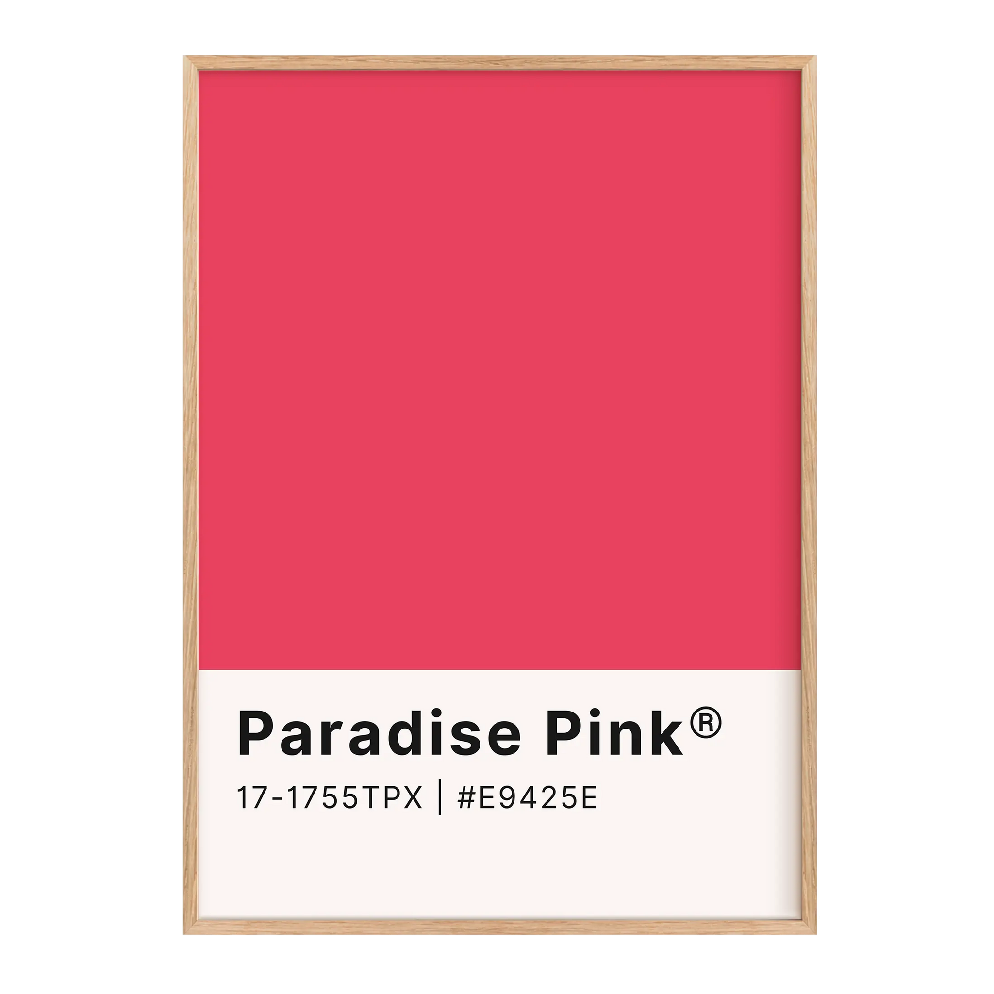 Paradise Pink