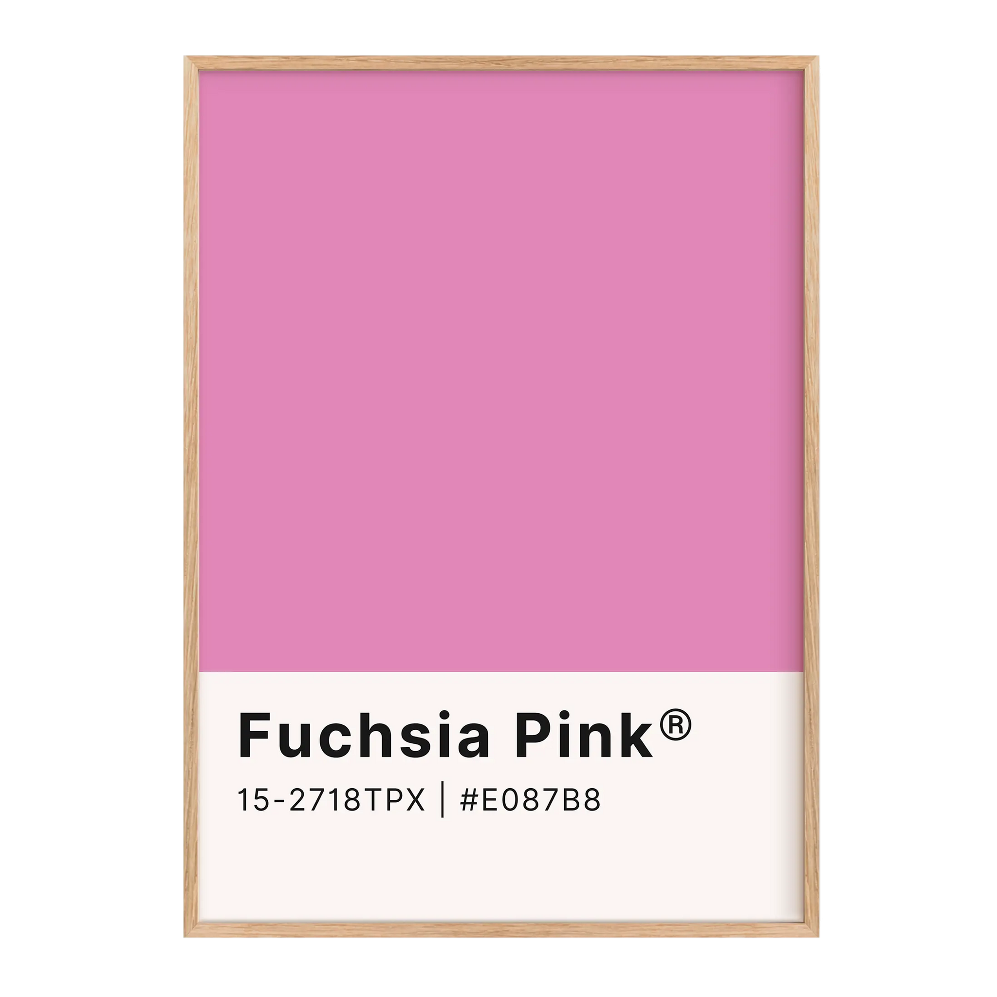 Fuchsia Pink