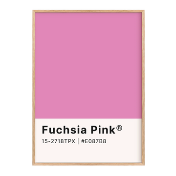 Fuchsia Pink