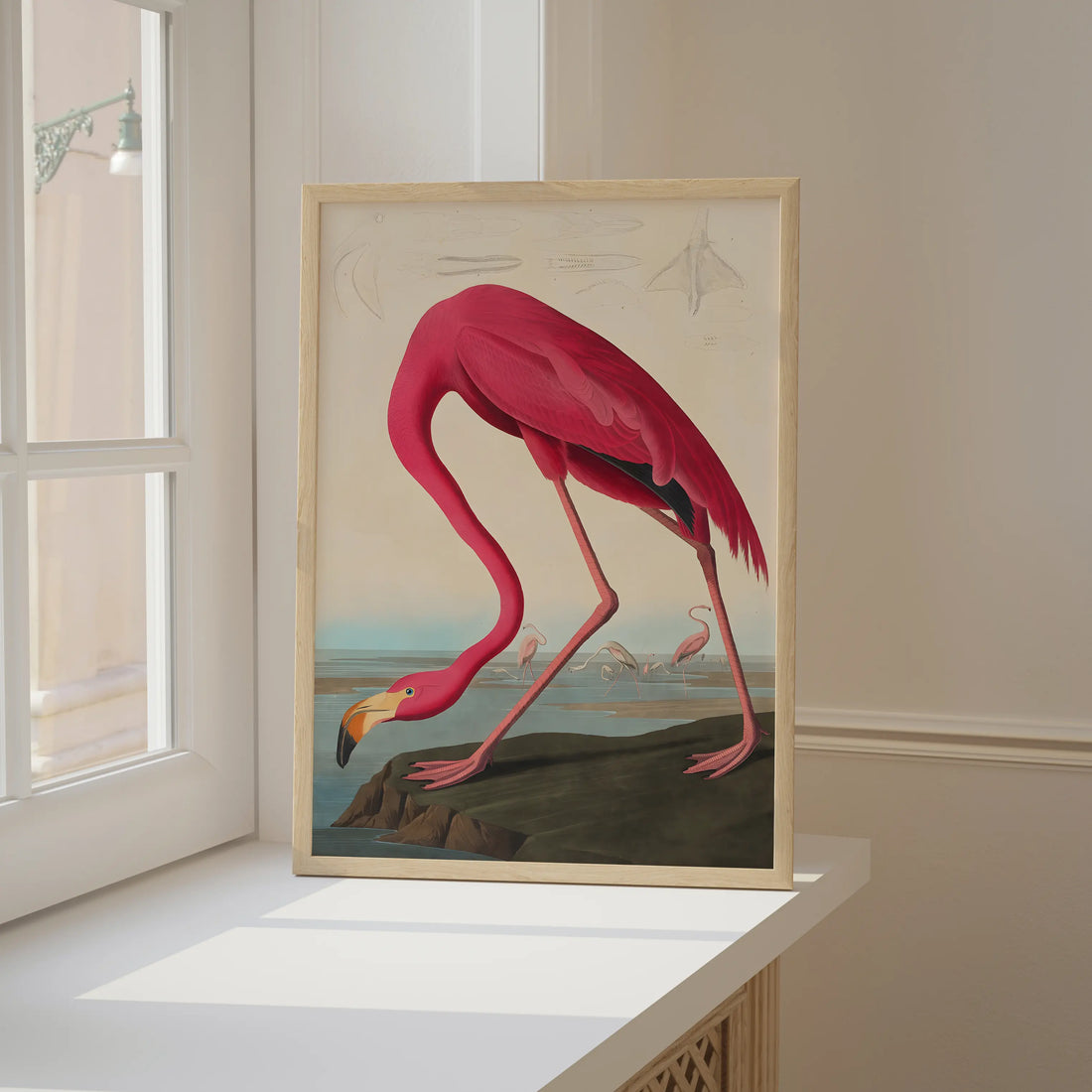 Le Flamant Rose